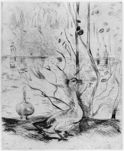Goose, 1889 by Berthe Morisot
